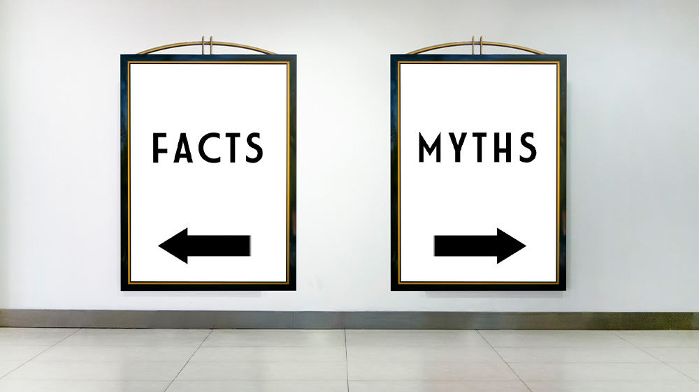 fact myths
