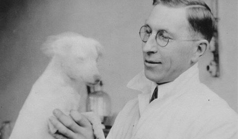 10 November 1921 - First experiments with dogs a success - Diabetes  Australia