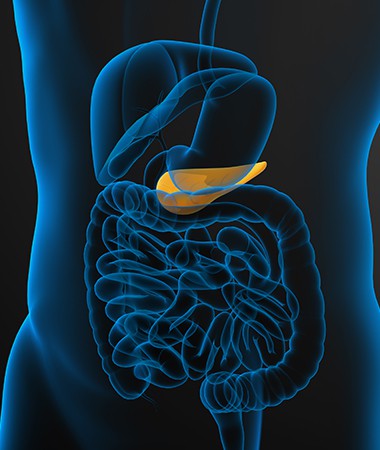 Pancreas