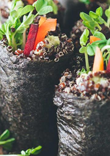 nori rolls with quinoa and vegetables