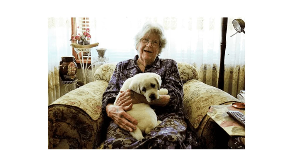 Sheila Woodcock