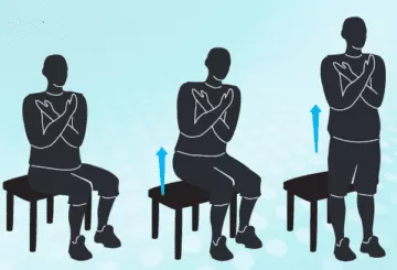 sit to stand diagram