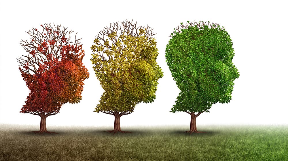 dementia, trees in the shape of heads