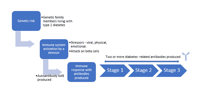 Teplizumab (Tzield): A brand new drug to delay the onset of sort 1 diabetes is authorized within the US