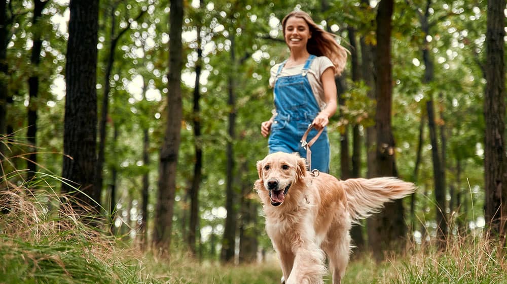 Woman walking a dog